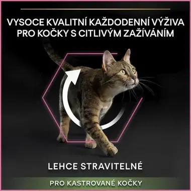 Econtent