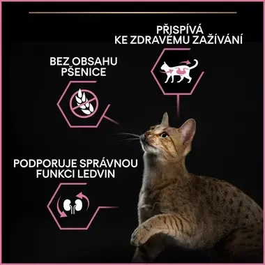 Econtent