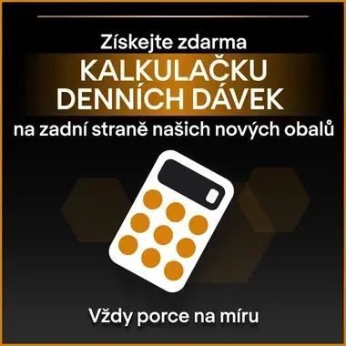 eContent