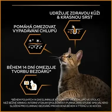 eContent