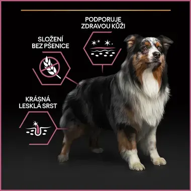 PURINA® PRO PLAN® Medium Adult Dog Sensitive Skin, losos