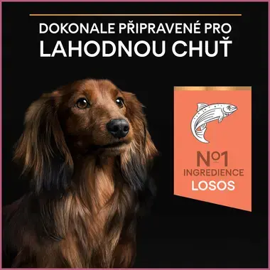 PURINA® PRO PLAN® Small & Mini Adult Dog Sensitive Skin, granule pro psy s lososem