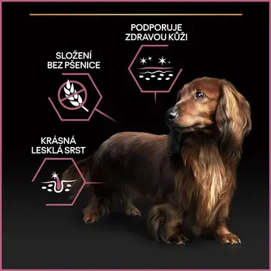 PURINA® PRO PLAN® Small & Mini Adult Dog Sensitive Skin, granule pro psy s lososem