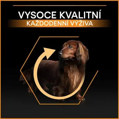 PURINA® PRO PLAN® Small & Mini Adult EVERYDAY NUTRITION s vysokým obsahem kuřete