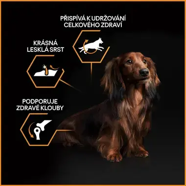 PURINA® PRO PLAN® Small & Mini Adult EVERYDAY NUTRITION s vysokým obsahem kuřete