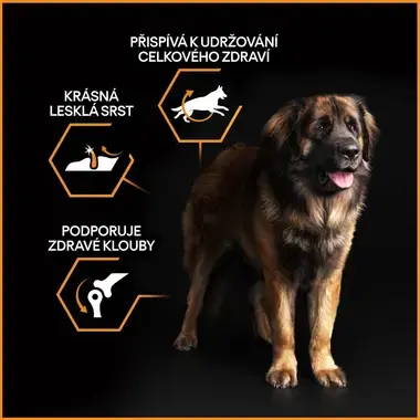 PURINA® PRO PLAN® Large Adult Robust Dog Everyday Nutrition, kuře