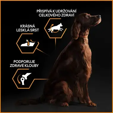 PURINA® PRO PLAN® Large Adult Athletic Dog Everyday Nutrition, kuře