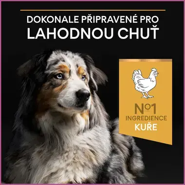 PURINA® PRO PLAN® Medium & Large Adult 7+ Age Denfence, kuře