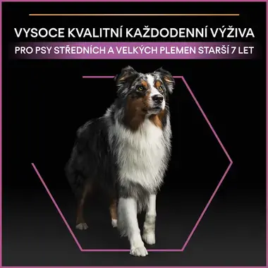 PURINA® PRO PLAN® Medium & Large Adult 7+ Age Denfence, kuře