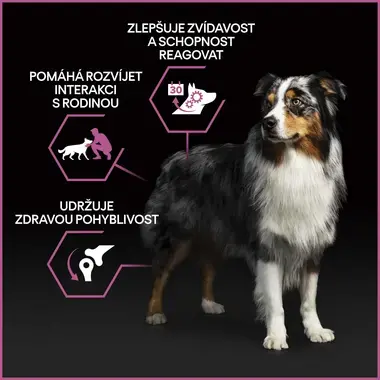 PURINA® PRO PLAN® Medium & Large Adult 7+ Age Denfence, kuře