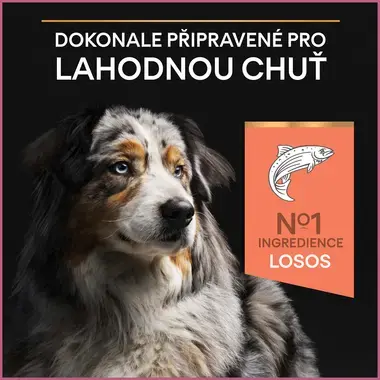 PURINA® PRO PLAN® Medium & Large Adult 7+ Sensitive Skin, losos