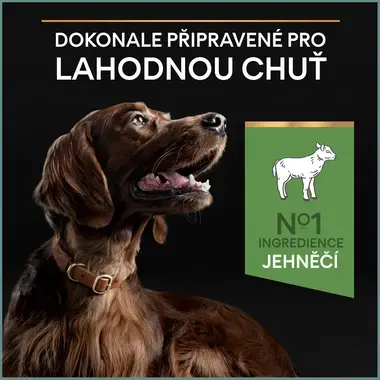 PURINA® PRO PLAN® Large Adult Athletic Dog Sensitive Digestion, jehněčí
