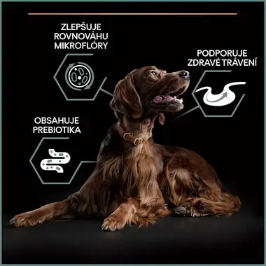 PURINA® PRO PLAN® Large Adult Athletic Dog Sensitive Digestion, jehněčí