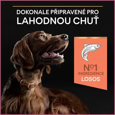 PURINA® PRO PLAN® Large Adult Athletic Dog Sensitive Skin, losos