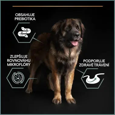 PURINA® PRO PLAN® Large Adult Robust Dog Sensitive Digestion, jehněčí