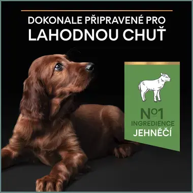 PURINA® PRO PLAN® Large Puppy Athletic Sensitive Digestion, granule pro psy s jehněčím