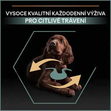 PURINA® PRO PLAN® Large Puppy Athletic Sensitive Digestion, granule pro psy s jehněčím