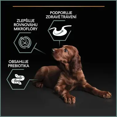 PURINA® PRO PLAN® Large Puppy Athletic Sensitive Digestion, granule pro psy s jehněčím