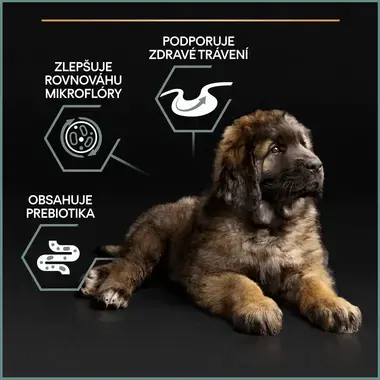 PURINA® PRO PLAN® Large Puppy Robust Sensitive Digestion, jehněčí