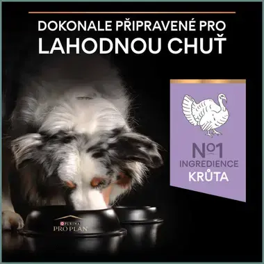 PURINA® PRO PLAN® Medium & Large Adult Sensitive Digestion GRAIN FREE, krůta