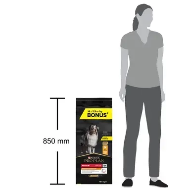 Pro Plan 12+2 kg size
