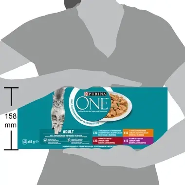 PURINA ONE Multipack ADULT minifiletky s jehněčím/mořskými rybami/kuřetem/hovězím a zeleninou ve šťávě