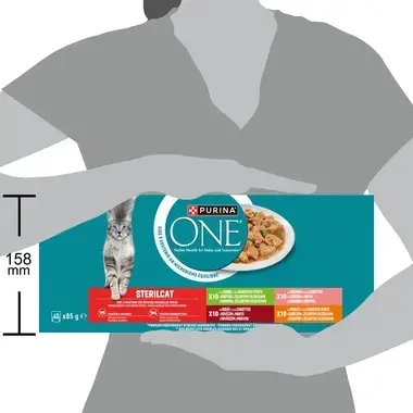 PURINA ONE Multipack STERILCAT minifiletky s hovězím a mrkví