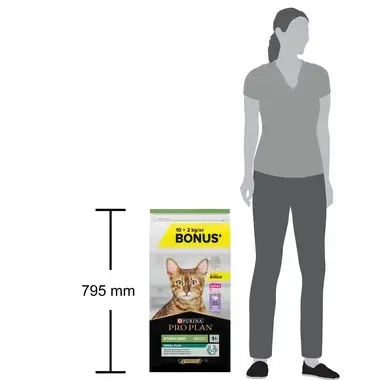 Pro Plan 10+2_postava