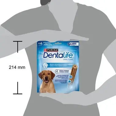 DENTALIFE do LARGE