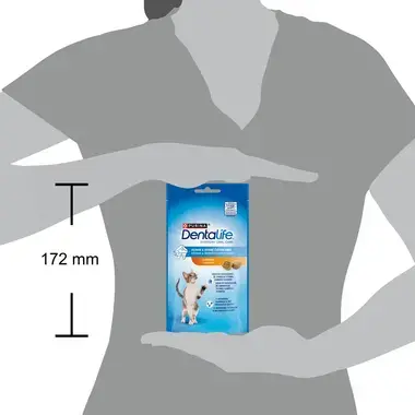 DENTALIFE Cat s kuřetem