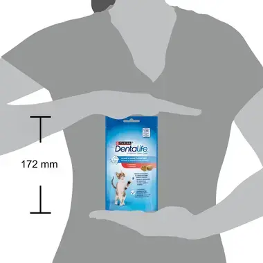 DENTALIFE Cat s lososem