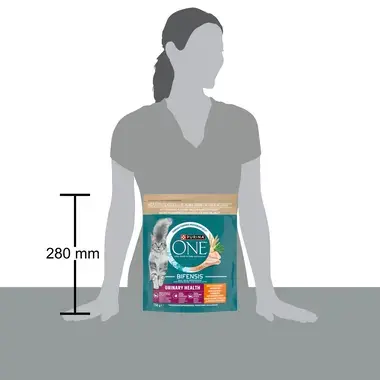 Purina ONE Bifensis Urinary Care granule pro kočky kuře
