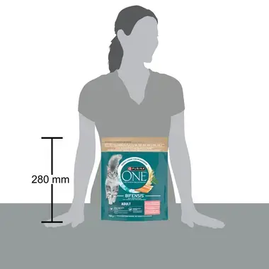 Purina ONE Bifensis Adult granule pro kočky losos