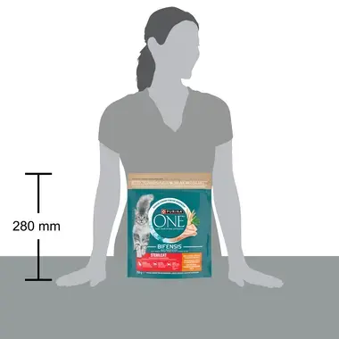 Purina ONE Bifensis Sensitive granule pro kočky krůta
