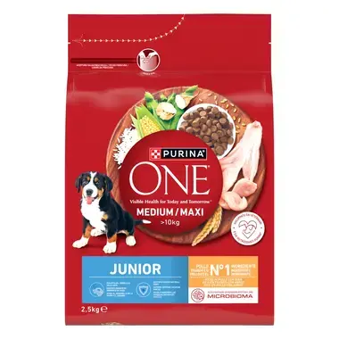 Purina ONE® Medium/Maxi Junior granule pro štěňata kuře