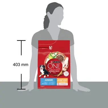 Purina ONE® Medium/Maxi Junior granule pro štěňata kuře