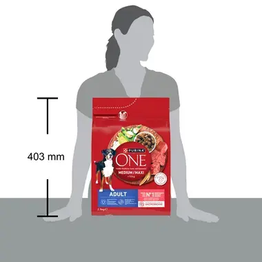 Purina ONE® Medium/Maxi Adult granule pro psy hovězí