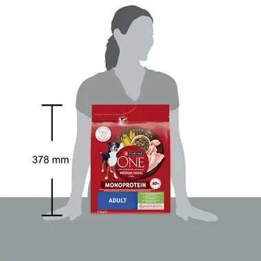 Purina ONE® Medium/Maxi Adult Monoprotein granule pro psy krůta