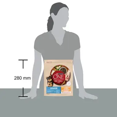 PURINA ONE® MINI Junior – kuře - porovnání s velikostí postavy člověka