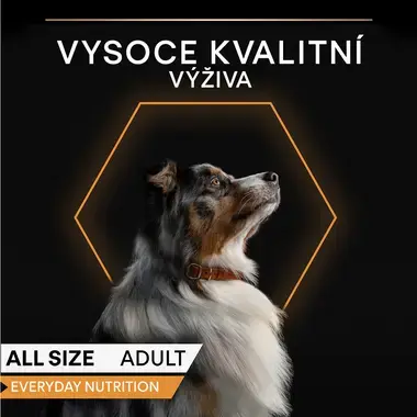 hlava a popis "vysoce kvalitní výživa"