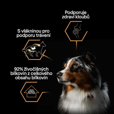 hlava psa a výpis hlavních benefitů