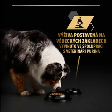 pes u misky a popisem "výživa postavená na vědeckých základech"