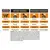 PURINA® PRO PLAN® VETERINARY DIETS Feline OM St/Ox Obesity Management, granule pro kočky