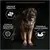 PURINA® PRO PLAN® Large Adult Robust Dog Sensitive Digestion, jehněčí