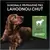 PURINA® PRO PLAN® Large Puppy Athletic Sensitive Digestion, granule pro psy s jehněčím
