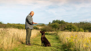 Man in a field training dog