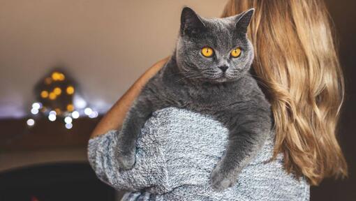 Žena držící mazlíčka - britskou krátkosrstou kočku