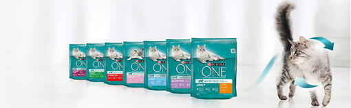 Purina One pro kočky Bifensis