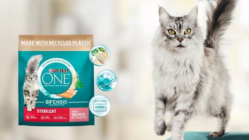 Purina ONE Advanced nutrition to keep a balanced gut microbiome