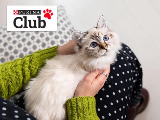 Purina Club